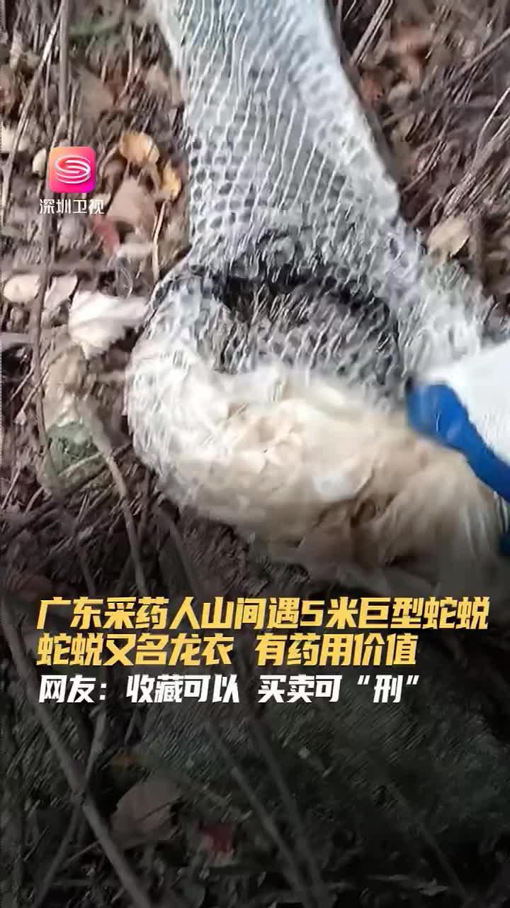 根植浙大科研，引領室內健康——浙江冰蟲環保科技發展紀實